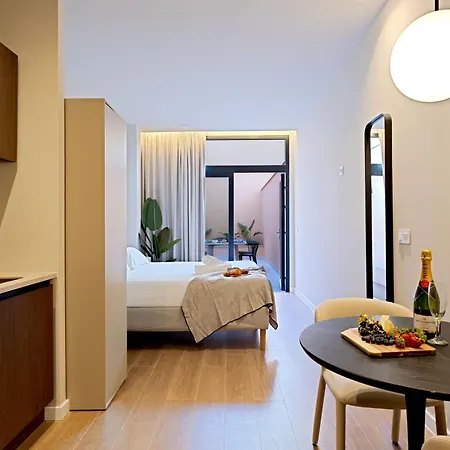 Saristays Vida
