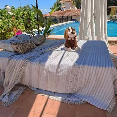 Naturally Cool, Units A And B With 80m2 Square Meters Super Pool,mountain Hiking Trail * Valencie