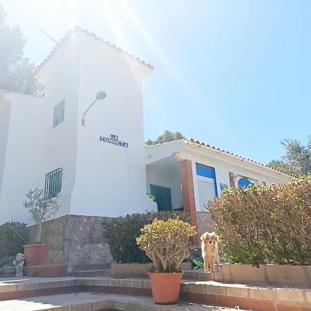 بيت خشبي Naturally Cool, Units A And B With 80m2 Square Meters Super Pool,mountain Hiking Trail *