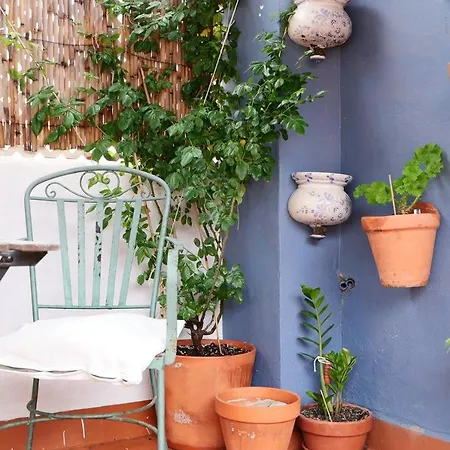 Terrace Near
