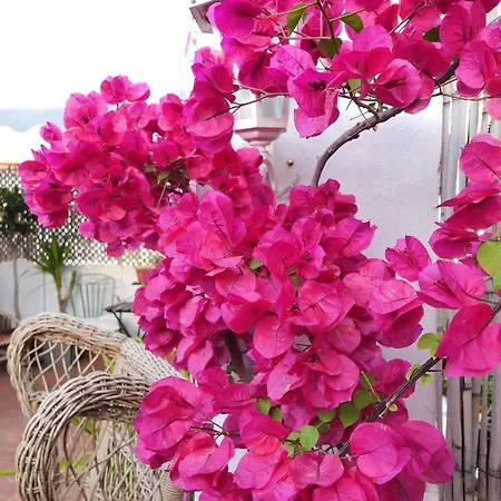 Terrace Near * バレンシア