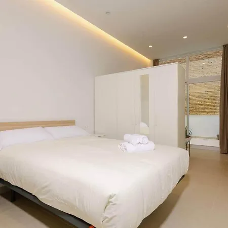 Centrico Loft Con Terraza. 1 * فالنسيا