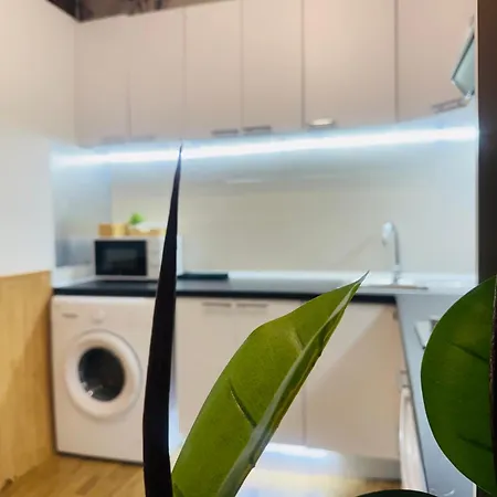 Apartment Solmar A