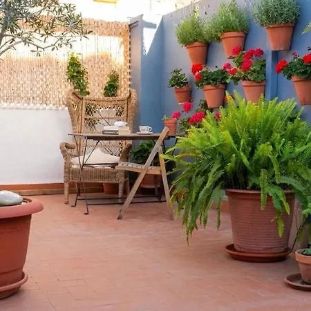 Terrace Near شقة