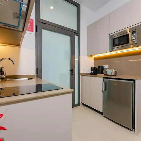 Centrico Loft Con Terraza. 3 شقة *