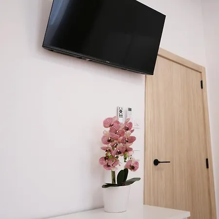 Exclusivo De Diseno Premium Y Lujo *