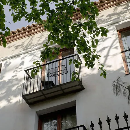 Loft Elegante Con Techos Altos En Plaza Del Carmen *