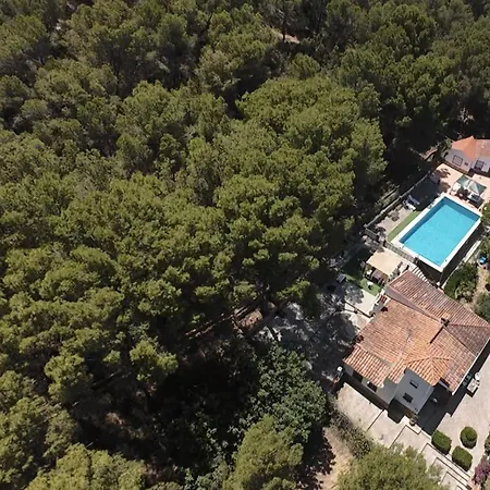 Mountain Forest Retreat, A,b, Large 80sqm Pool, Forest Hiking Alojamento de Turismo Selvagem *