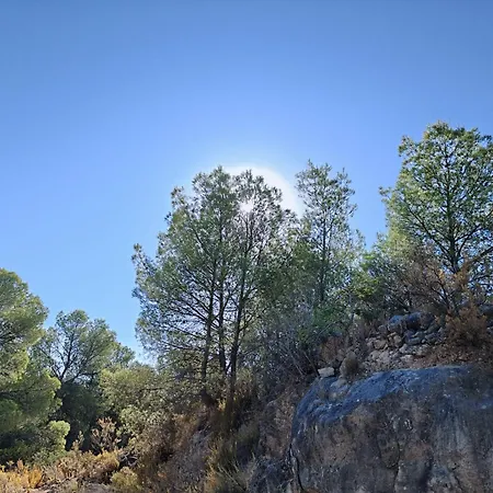 Mountain Forest Retreat, A,b, Large 80sqm Pool, Forest Hiking *