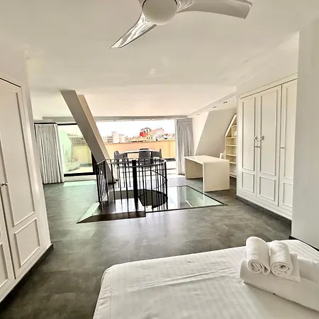 Atico Duplex Con Terraza & Parking En El Centro Valensiya