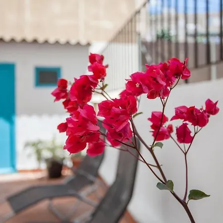 Spacious Family With Huge Terrace *