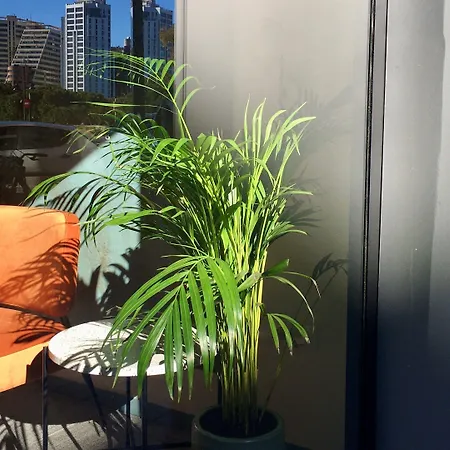 Md Modern - Jardines