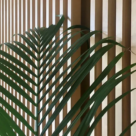 Ξενοδοχείο Md Modern - Jardines *