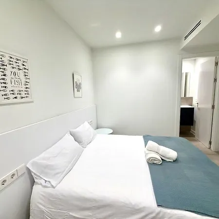 Spacious 2br,2ba Near Nou Mestalla Appartement