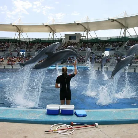 瓦伦西亚媒介酒店
