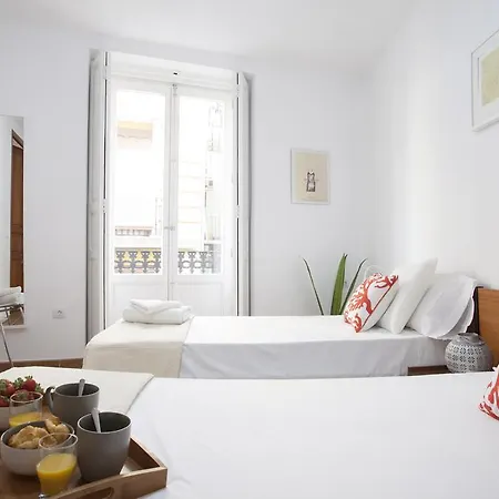 Singularstays Roteros Daire *