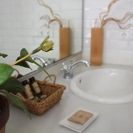 Moli El Canyisset Valencia