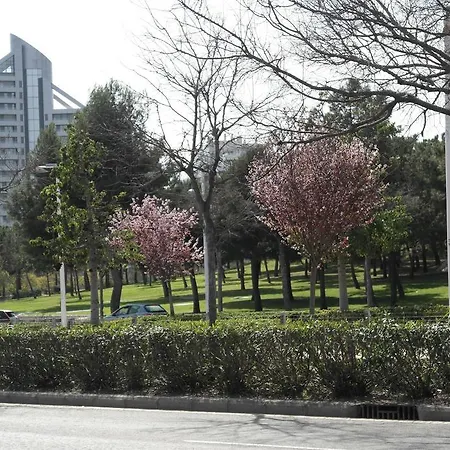 Apartamento Angel Alcazar 35 Apartamento *