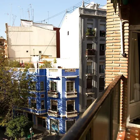 Md Barbera * Valencia