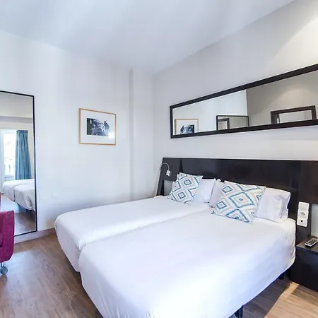 ホテル Petit Palace Plaza De La Reina 3*
