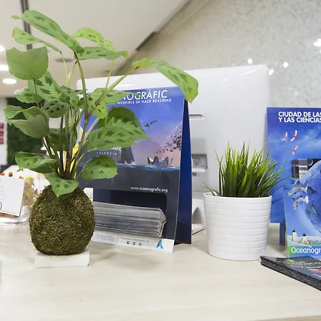 & Co. J. Botanico Boutique Hotell