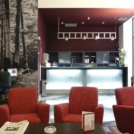 ホテル Petit Palace Plaza De La Reina 3*