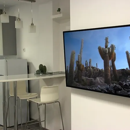 El Cactus *