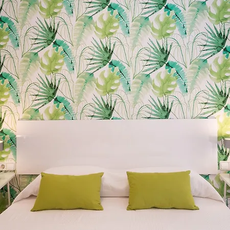 Apartup Guimera Center *