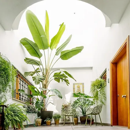 Apartment Barracart *
