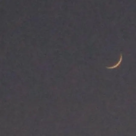 فندق مبيت وإفطار 7 Moons فالنسيا