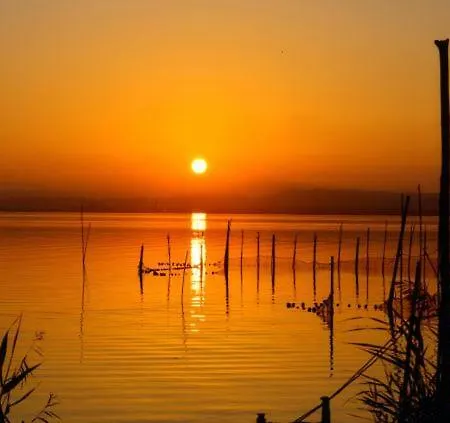 Sofia's Flat * 瓦伦西亚