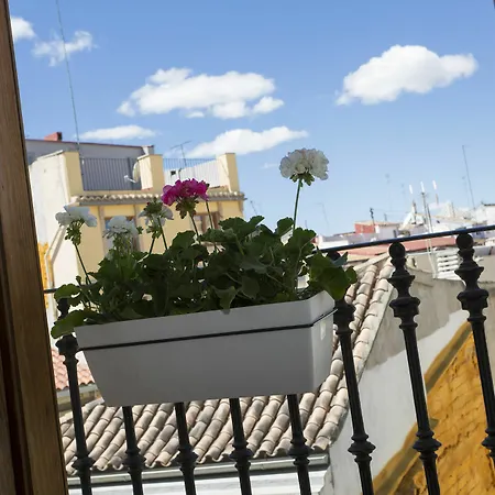 Singularstays Plaza Del Mercado Valencia