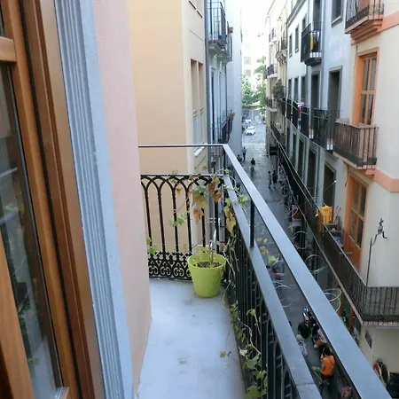 Total Cathedral Valencie