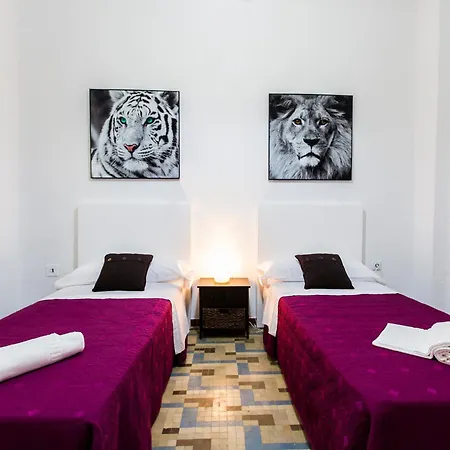 Total Terrace Valencia