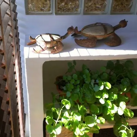 Apartman With Terrace In Ruzafa *