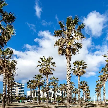 Valencia/mare Nostrum Valencia
