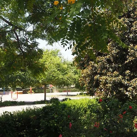 公寓 玛丽亚公寓 瓦伦西亚