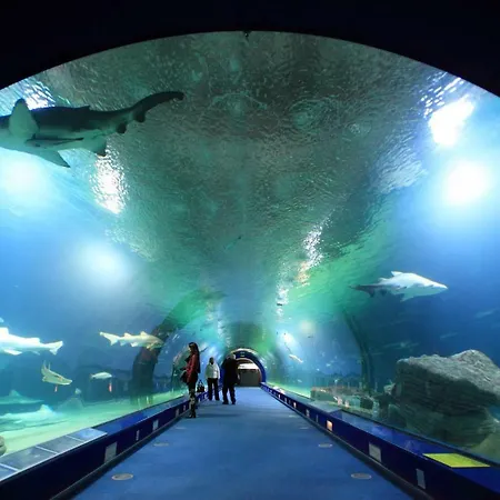 Arrendamiento De Temporada En Ruzafa شقة *