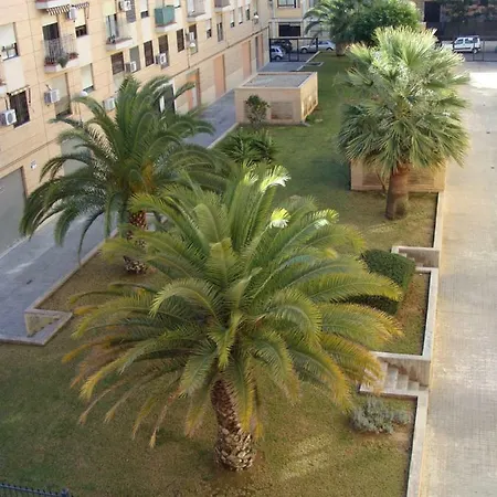 Agave Flat *