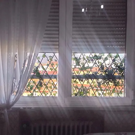 Homestay Accommodatie bij particulieren