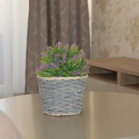 Arenas 2 Apartament شقة