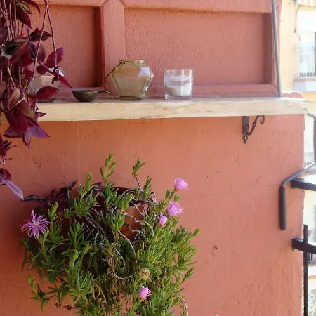 Apartman Agave Flat