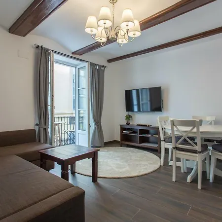 Piso En Barrio Del Carmen Cerca De Plaza Virgen Appartement Valencia