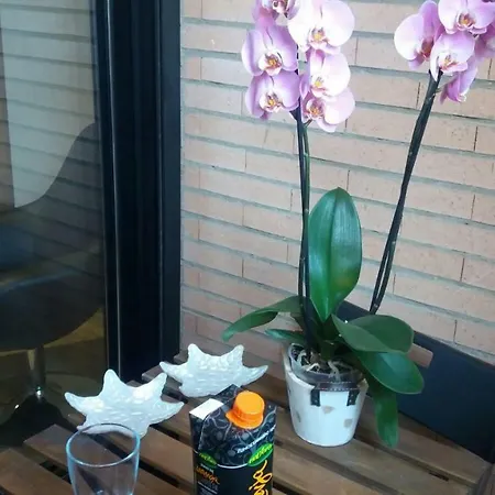 En La Ciudad De Artes Y Ciencias Valencia