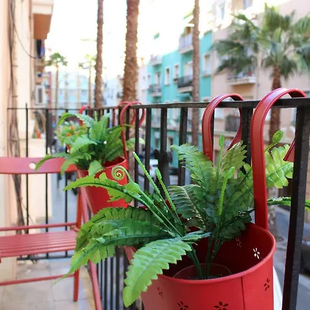 アパート El Coral *