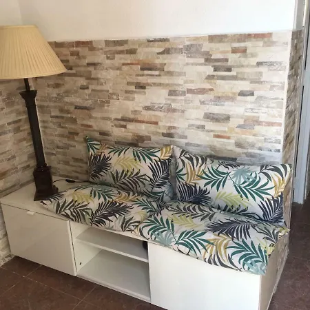 Malvarrosa Calle Pavia *