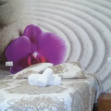 Zen House Valencia