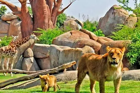 Appartement Your At Valencia, Cabanal Valencia