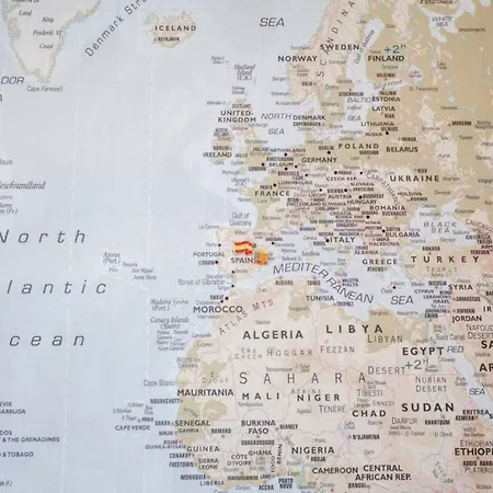 Apartment Luminous & Cosy Down Town