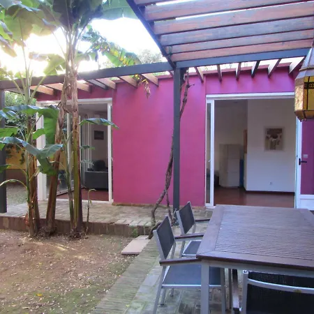 Apartman Vivienda Diseno Con Jardin Interior